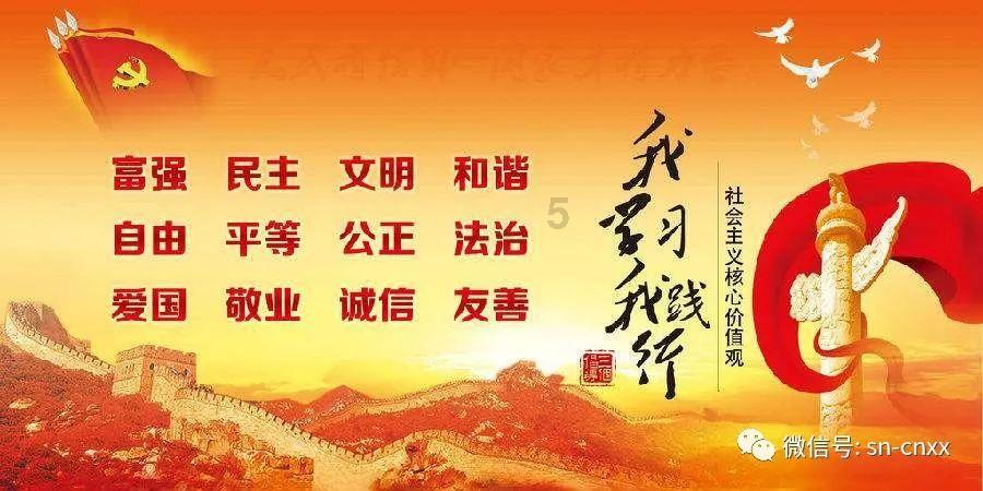 两只狗狗在打闹玩耍，茶杯犬摔倒后直接去世。网友：茶杯犬是畸形犬，自己也受罪，还请不要怪小白！